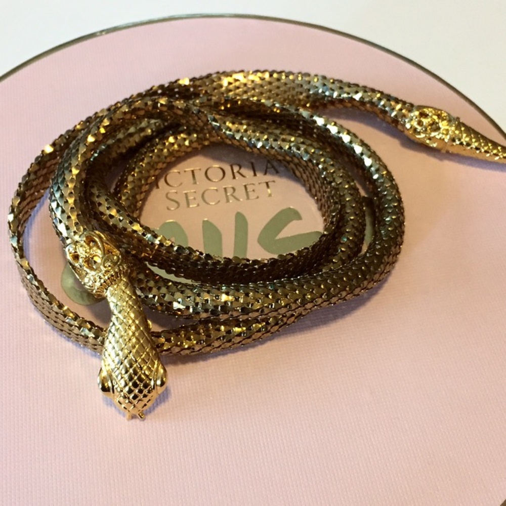 Gold cobra 🐍 snake belt #serpent #snake